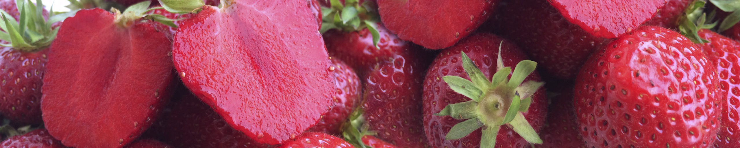 08_header_henrys_erdbeere.jpg