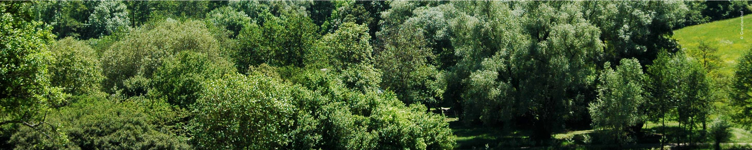 29_header_grenzlandhof.jpg