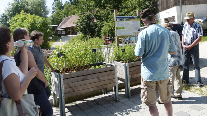 04 linsen content 3